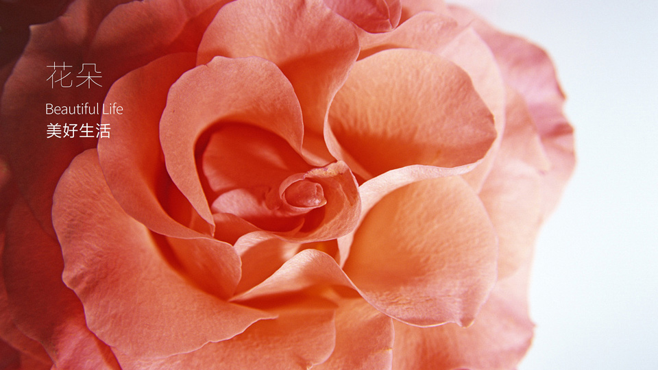 探索咖啡logo設(shè)計(jì)：靈感來(lái)源與創(chuàng)意理念解讀