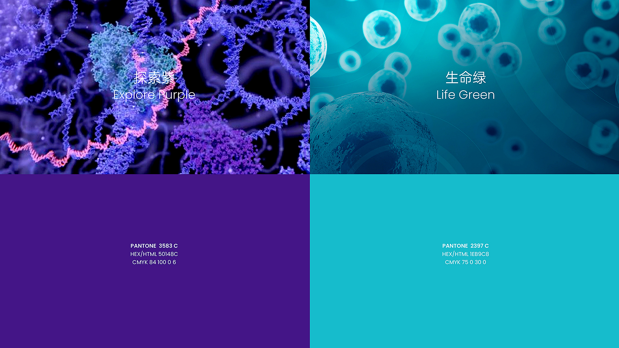 醫(yī)療logo設(shè)計