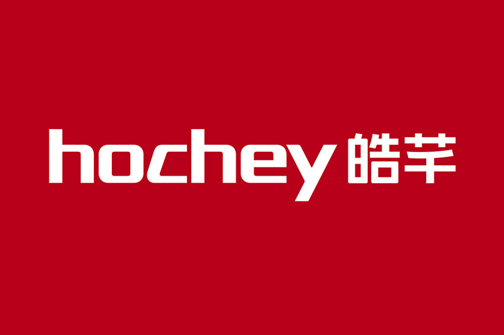 企業(yè)如何通過品牌Logo設計公司提升品牌識別度與市場競爭力?